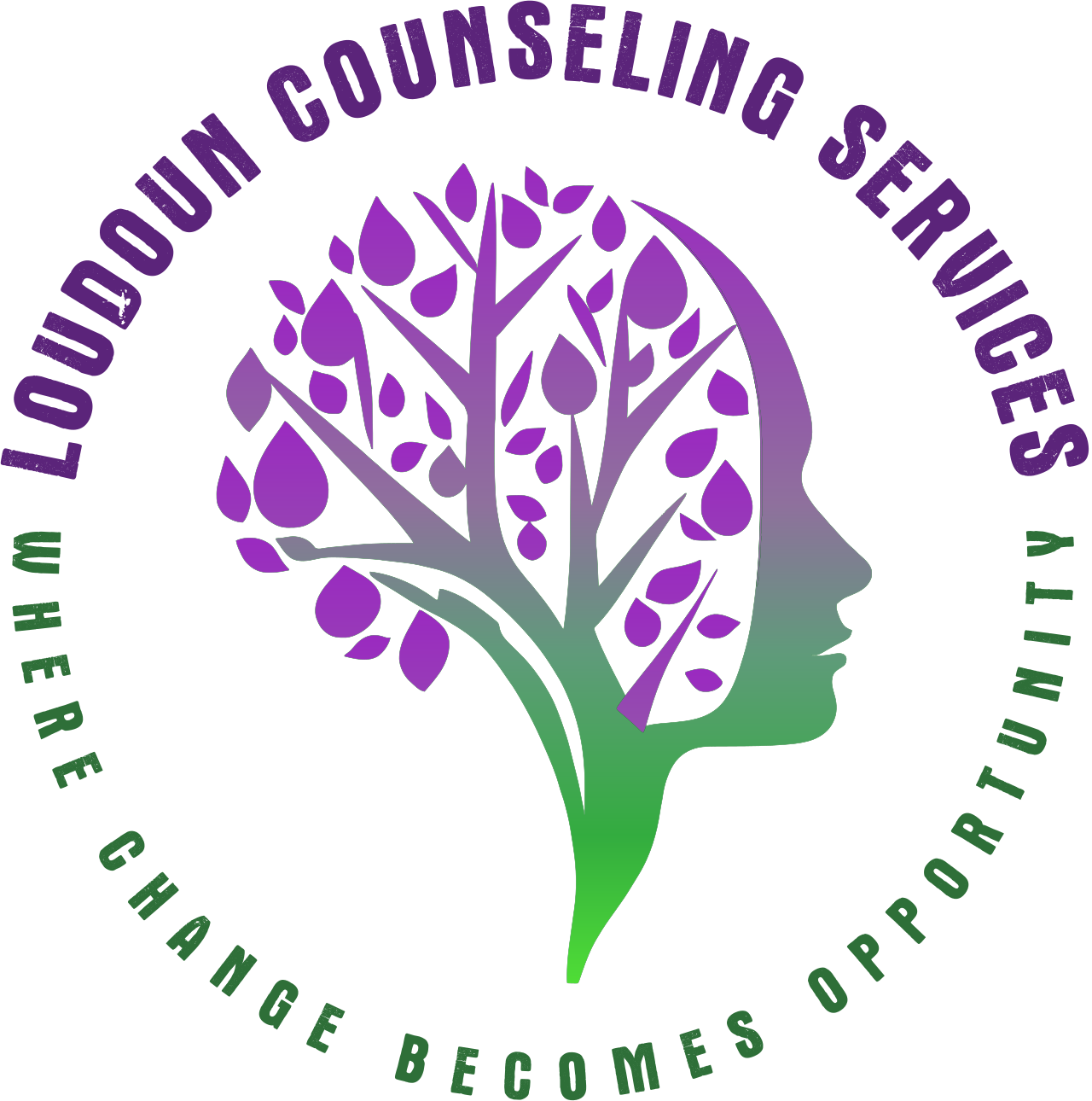 Loudoun Counseling Services, LLC